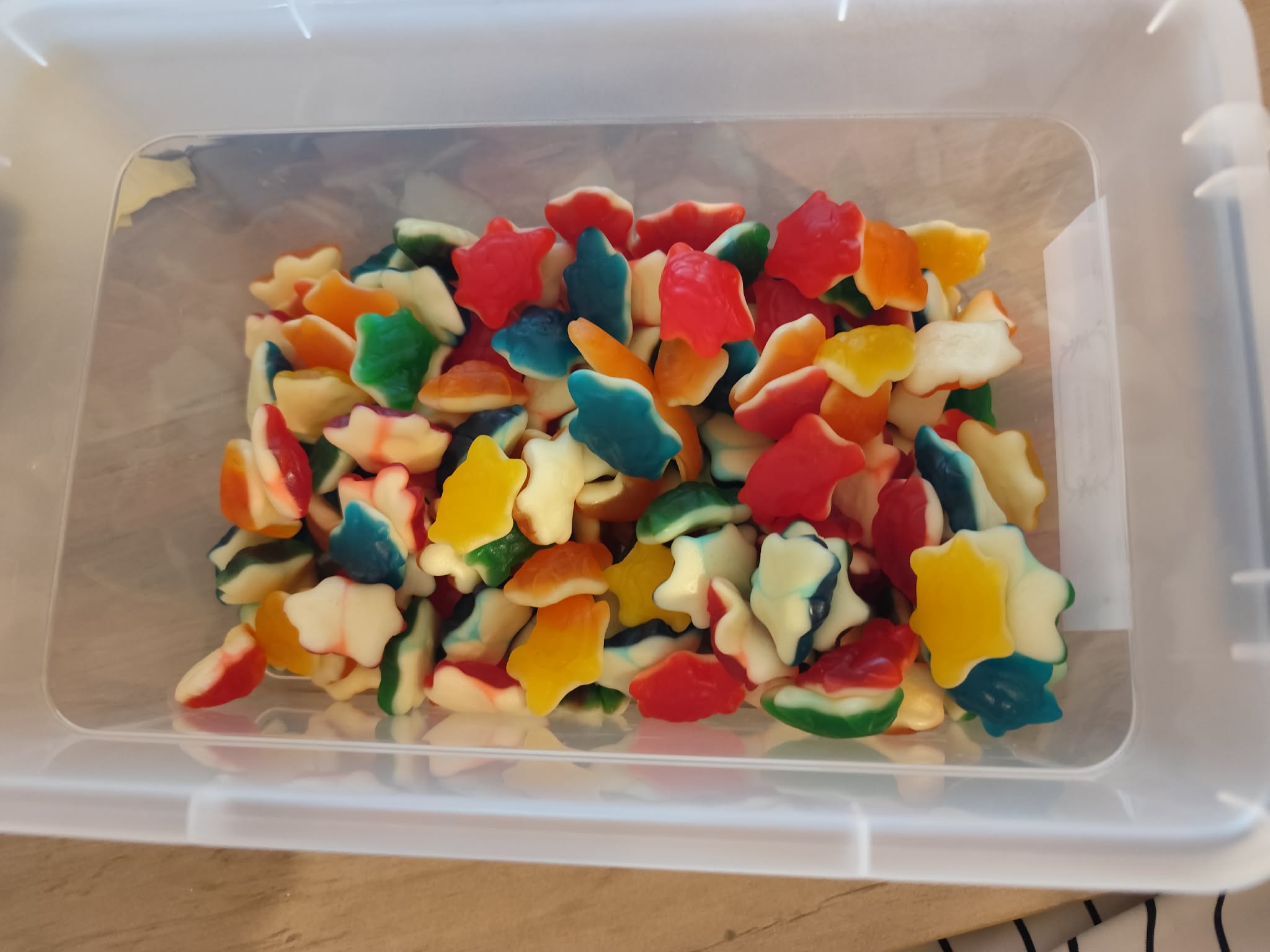 tortue lisses(100g)